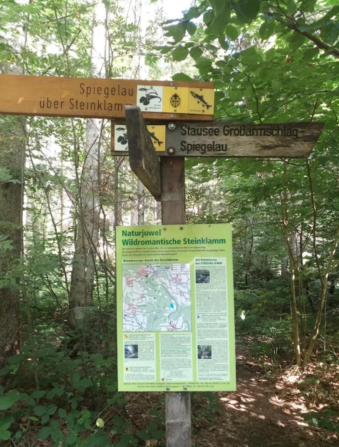 Ferienwohnungen "Haus Daxberg" Idyllisch Gelegen Im Bayerischen Wald Eppenschlag Room photo